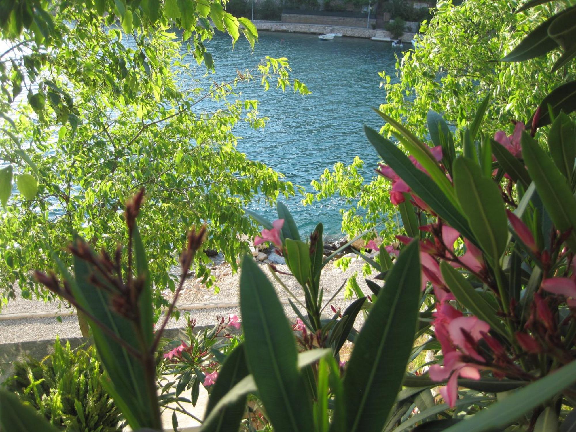 Villa Obad Guest House Neum Exterior foto